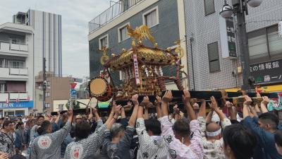 おまつりニッポン「東京都・品川神社例大祭」