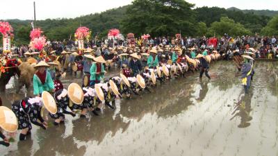 おまつりニッポン「しねり弁天たたき地蔵まつり」「壬生の花田植」